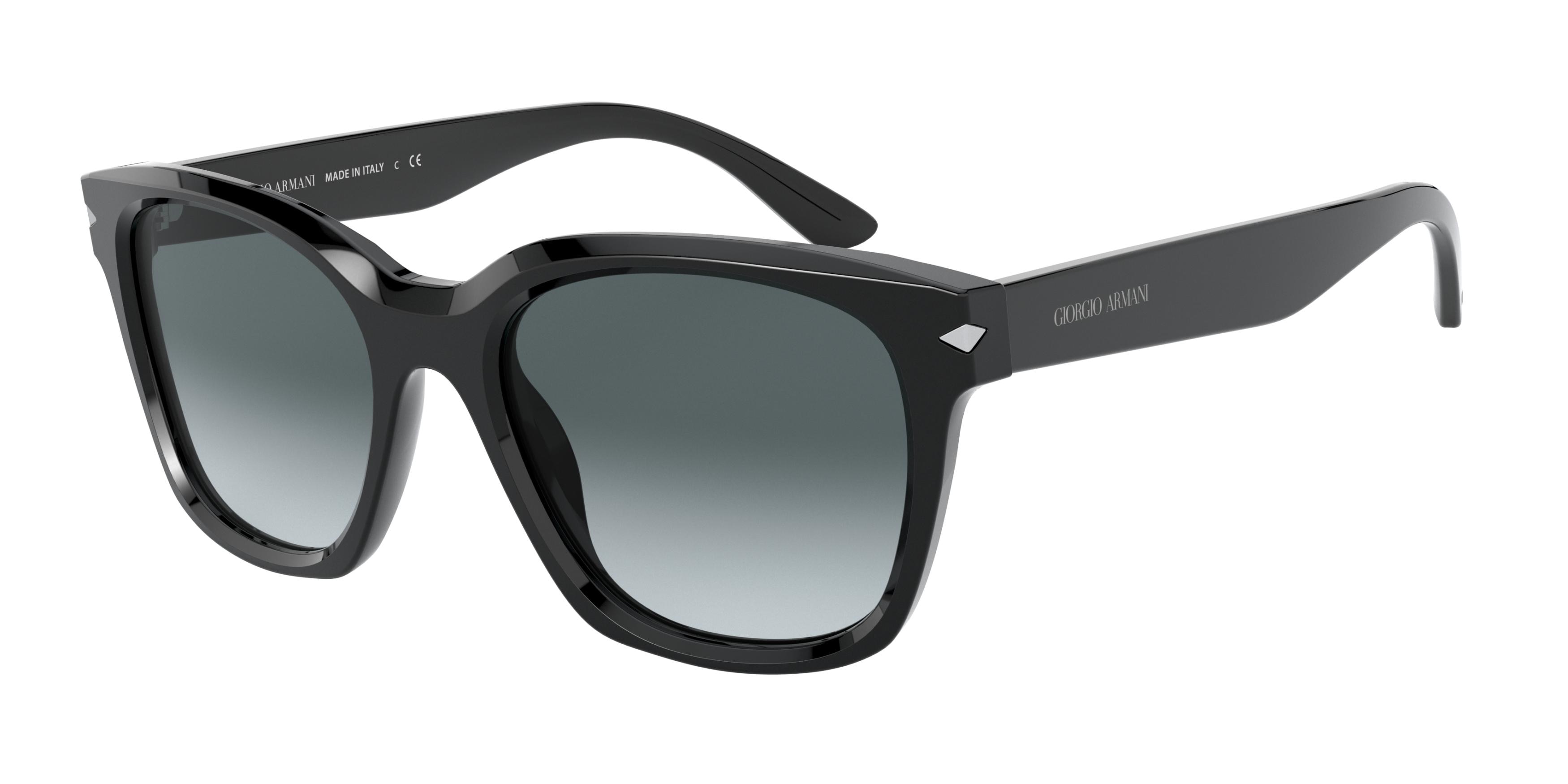 Giorgio Armani AR8134 500111